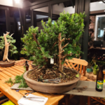 1599742795834.png 1599742795834.png