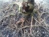 CAM01093.jpg