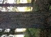 IMG_20130724_095018.jpg