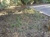 IMG_20130724_095034.jpg