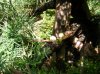 DSCF1678.jpg