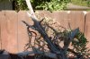 DSC_00070007.JPG