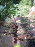 20200923_105330.jpg