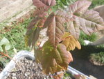 2020_0920_15512500.jpg 2020_0920_15512500.jpg