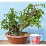 p1150466.jpg p1150466.jpg