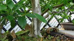 DSC00724.JPG