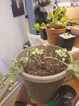 20201003_202202.jpg