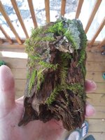 20201013_132209.jpg