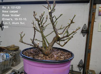 1602727975429.jpeg 1602727975429.jpeg