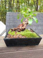 20201019_130011.jpg