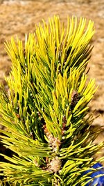 20201019_150821.jpg