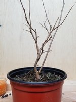 20201019_201417.jpg