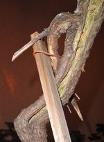 11092018 Literoti deadwood closeup -c .jpg