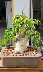 20201023_091136.jpg