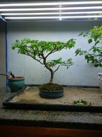 20201025_203755.jpg