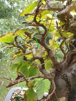 20201028_111814.jpg