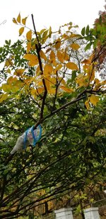 20201028_111455.jpg