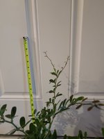 20201028_172138.jpg 20201028_172138.jpg