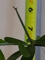 20201028_172000.jpg 20201028_172000.jpg