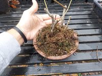 thumbnail_20201030_140601.jpg