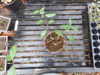 thumbnail_20201030_140606.jpg