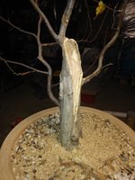 20201030_184020.jpg