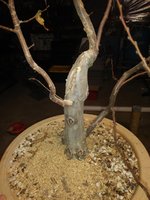 20201030_184037.jpg