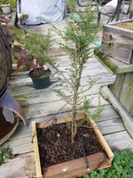 20201031_112420.jpg