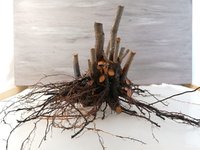 IMG_20200907_212346.jpg