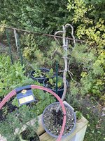 1605124091289.jpeg 1605124091289.jpeg