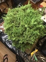 3B391F03-451C-4327-8387-87FC32D3F292.jpeg