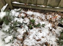 C71F9C78-64F6-4189-ADDB-8E91AE36F1A0.jpeg