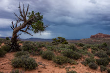 utah_2019-7.jpg