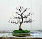 20201121_151502.jpg