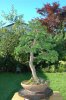DSC_1489.jpg DSC_1489.jpg