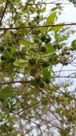 20200917_161721.jpg 20200917_161721.jpg