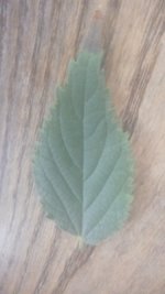 20201121_111857.jpg 20201121_111857.jpg