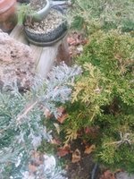 20201123_151734.jpg
