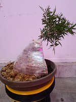 20201124_100738.jpg