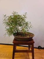 20201125_084556.jpg