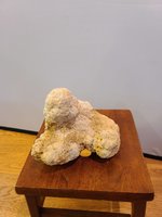 20201125_085137.jpg