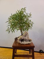 20201125_090222.jpg