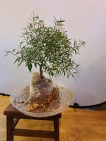 20201125_093755.jpg