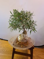20201125_093815.jpg