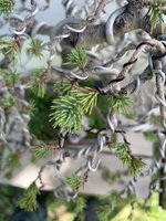 d3268205-5477-4f97-96ed-2675bd57a3a8.jpg d3268205-5477-4f97-96ed-2675bd57a3a8.jpg