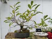 DSC04570-1.jpg