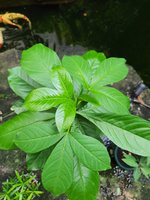 20201128_091604.jpg