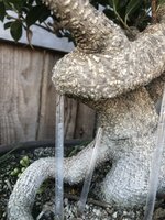 03F9F708-D004-4427-8A7C-8C44BCE14194.jpeg