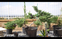 Screen Shot 2020-12-06 at 12.24.47 PM.png