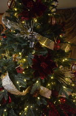 DSC_5438.JPG DSC_5438.JPG